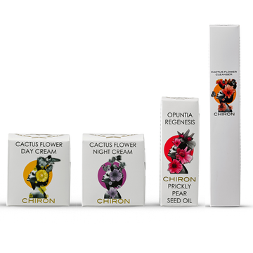 Cactus Flower Complete Bundle