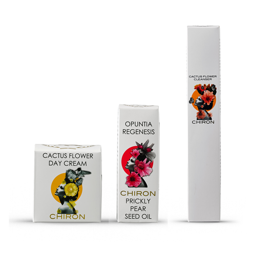 Cactus Flower Day Bundle