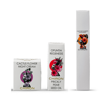 Cactus Flower Night Bundle