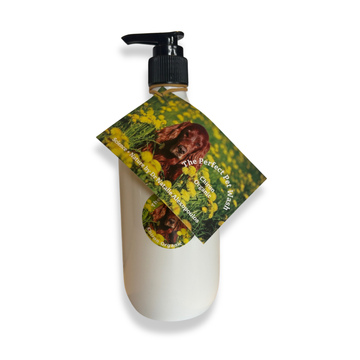 The Perfect Pet Wash