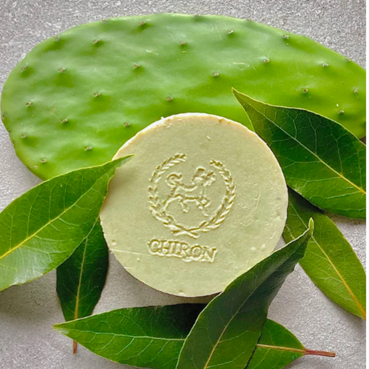 Conditioning Shampoo Bar - Cactus & Spearmint